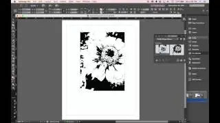 7. Adobe Shape Photo to Vector - InDesign Finish