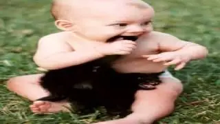 Very Funny Picture