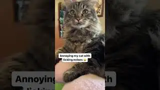 Annoying