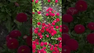 Навагинская 