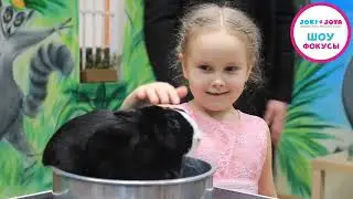 Шоу фокусов в Joki Joya в Санкт-Петербурге