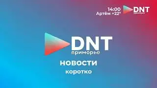 Начало и фрагмент  Коротких DNT Приморье Новостей (19.05.2023)