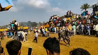 Bukkasagaram hori habba 2018 #Part_2 | Krishnagiri | Bull race | Atthu Thiruvizha | Jallikattu