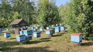 23 июля 2023 г.