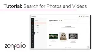 How to Use the Search Bar in Your Zenfolio Galleries
