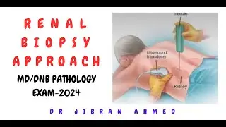 RENAL BIOPSY II PART 1 II POST GRADUATE LEARNING II BIOPSY SERIES II SIMPLY PATHOLOGY