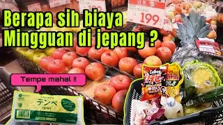 Biaya hidup di jepang !! Belanja mingguan murah atau mahal ?