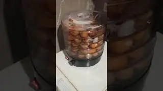 3 дні , без сонця а енергії хватає.