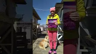 как взвесить алабая | жизнь в деревне