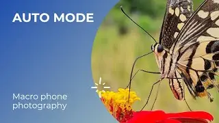 Macro Phone Photography in Direct Sunlight ||Auto Mode