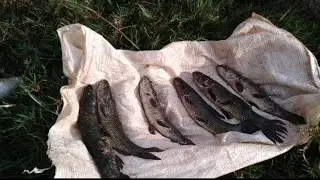 ESSE AÇUDINHO TEM TRAÍRAS BRUTAS