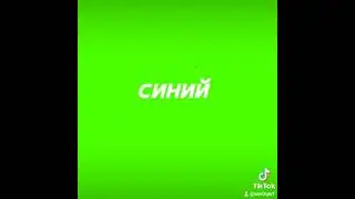 31 марта 2021 г.
