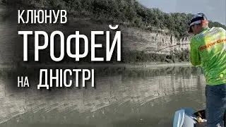 Клюнув трофей на Дністрі. Судак щука окунь жерех короп сом