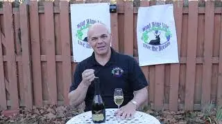 Buena Vista Brut Champagne NV, Wild Wine Tasting Notes, Wild Wine Life