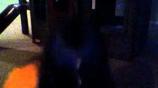Samara Morgan Sings Dynamite (Taio Cruz)