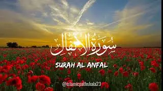 Quran: 08 Surah Al-Anfal full tarjuma | Beautiful Recitation HD Surah Al-Anfaal | surah al anfaal