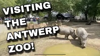 Visiting Antwerp Zoo in Belgium!