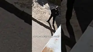 СПОР С ПОЛИЦИЕЙ