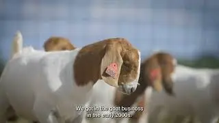The GOAT | Brandon Manning