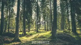 Lost - Afrobeat Type Beat 2024