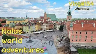 NALA checking out WARSAW 😻 Vlog