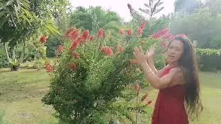 HINDI BIRO ANG GARDINERA