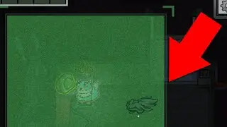 Steve Saw That!