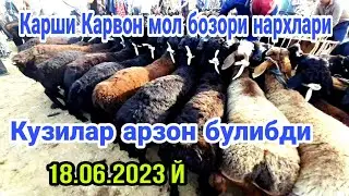 Карши Карвон мол бозори нархлари 18.06.2023 й