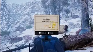 Vigor Ps4 Record PM ( II ) 5.03s