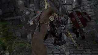 What have I done?