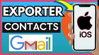How to Export Contacts from iPhone to Gmail (Very Easy)