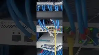 3 đường Quang chạy cùng lúc!