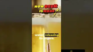 How BEER is Made?  #shortsvideoviral #shorts #beer