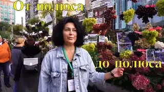 Выставка МКВ в "Аптекарском огороде" 26.09.20