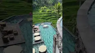 Кафе с видом на рисовые террасы и бескрайний бассейн | ubud - Bali | 