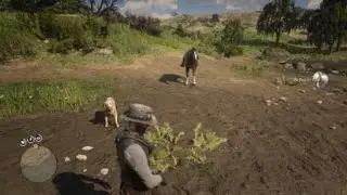 Red Dead Redemption 2_2024
