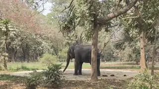 Dhaka National Zoo