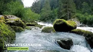 Venkatesananda | Jesse Gallagher | Meditation, Yoga, Sleep & Prayer