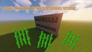 How To Build A Sugar Cane Farm Without Observers - Minecraft 1.18.2 Tutorial