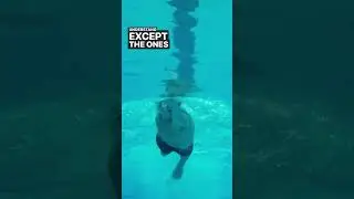 How Olympic Swimmers Reach Their Goals