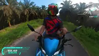 rayap 4