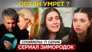 Новости сериала Зимородок  71 серия спойлеры - Орхан умрет ?