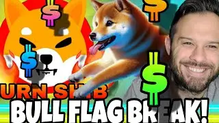 Shiba Inu Coin | SHIB Bull Flag Break! Dogeverse Almost Sold Out!