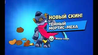 жоски ветсай купил мортиса меха