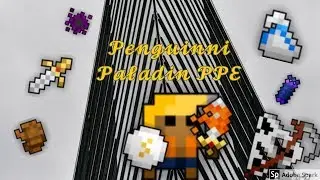 Rotmg the epic Pally ppe