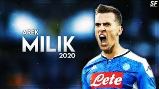 Arkadiusz Milik 2019/2020 ● Skills & Goals ᴴᴰ