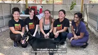 Mars releasing the largest study into pet homelessness