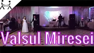 Easy to Learn Waltz Dance for Wedding Night