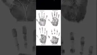 Какая у тебя стихия ладони? Тайна хиромантии #хиромантия