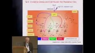 Pittcon 2012 - Measurement Tools for Reactive Oxygen and Nitrogen Species  - Abstract 1